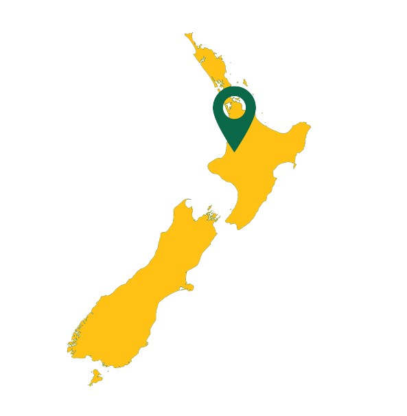 Hamilton map Hamilton NZ