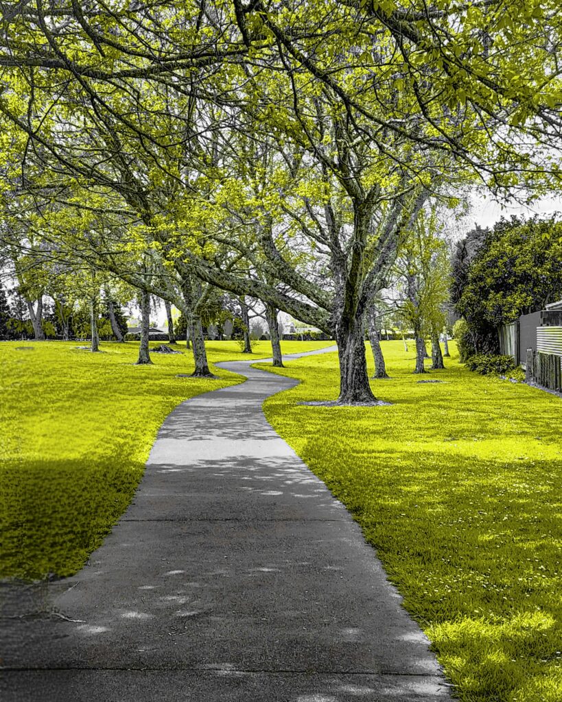 About Hamilton Hamilton NZ