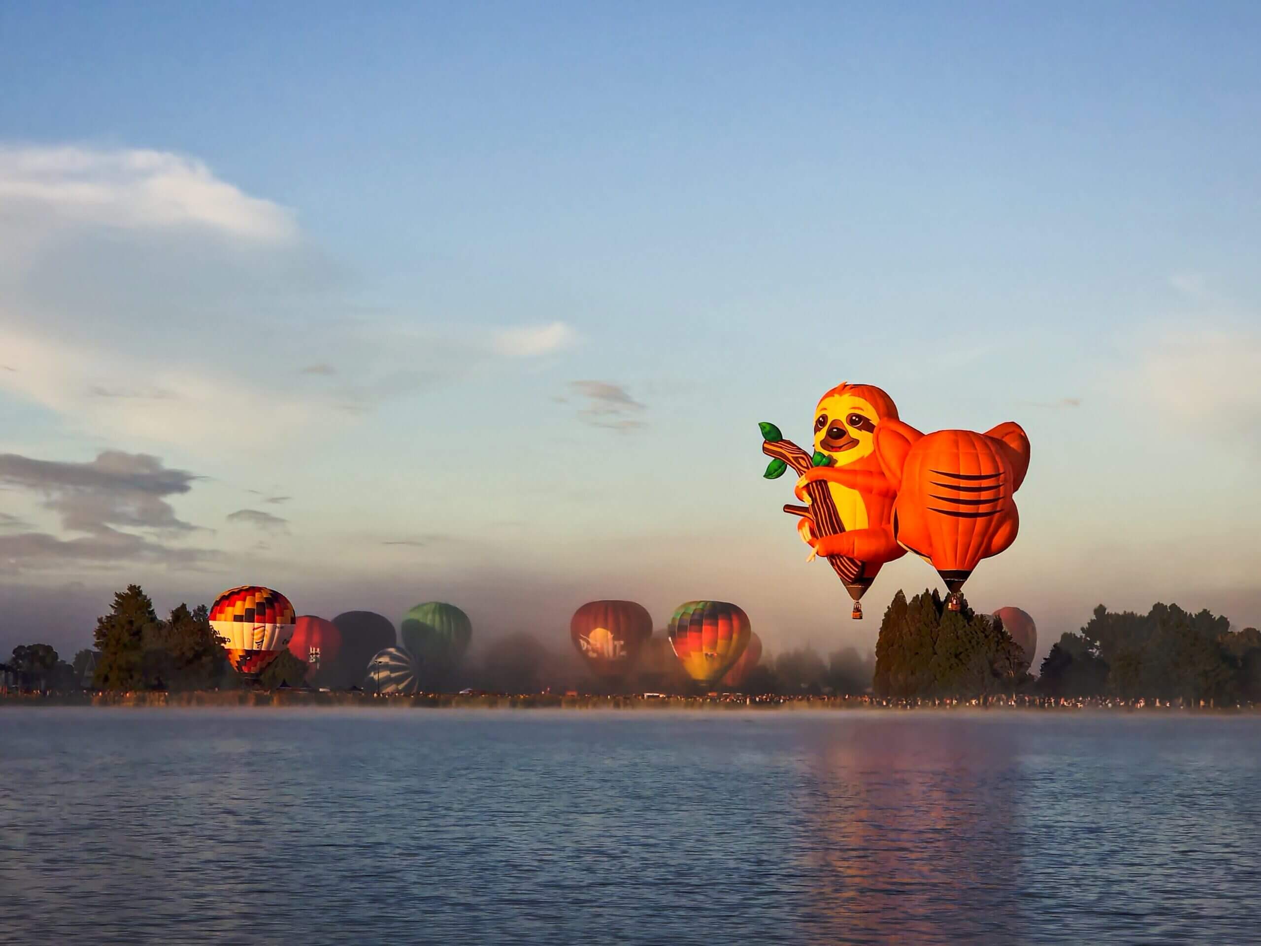 Balloon over Waikato