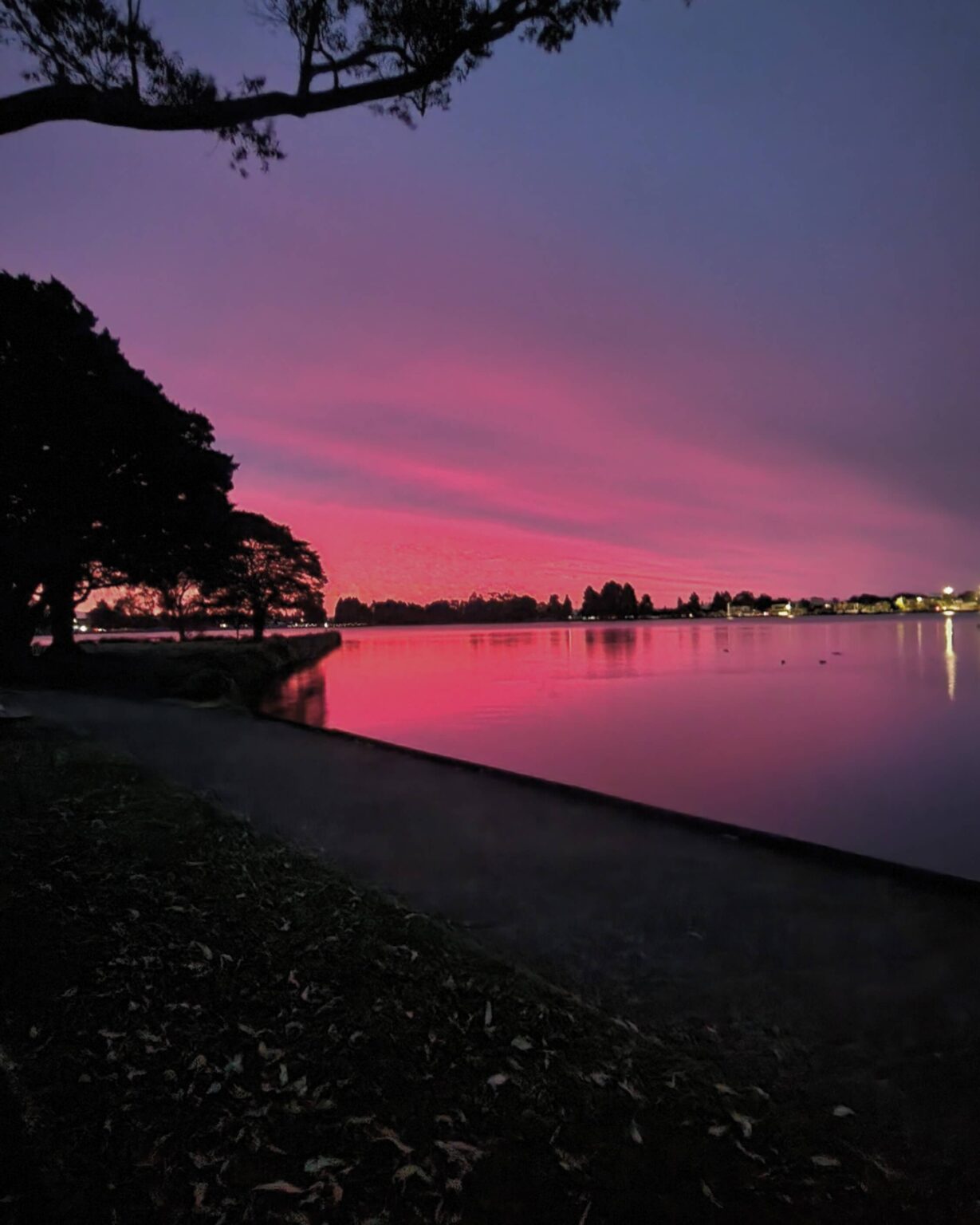 Hamilton Lake Walkway - Hamilton NZ