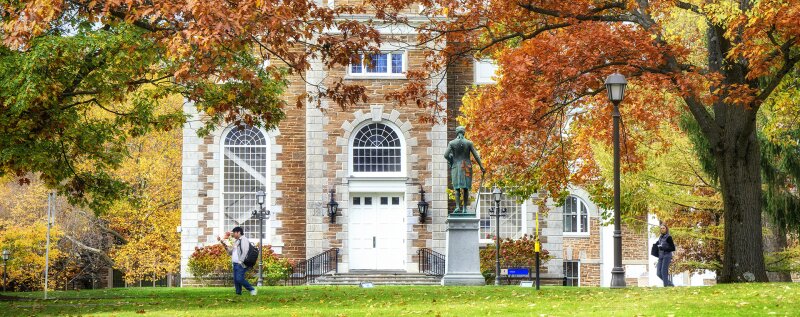 Hamilton Colleges List in New Zealand