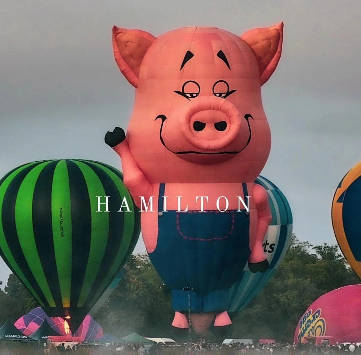 Ballon festival hamilton NZ