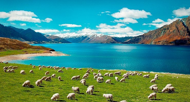 new-zealand-summer-adventures