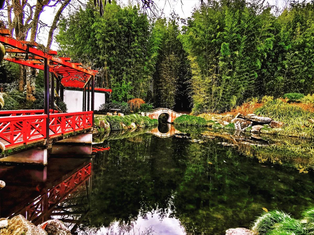 Red bridge and pond in the Chinese Scholars Garden at Hamilton Gardens