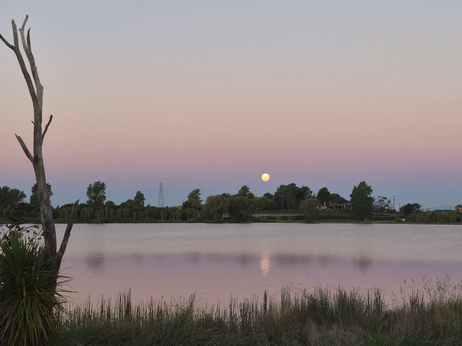 Moonrise over Lake D Kainui in Horsham Downs Hamilton