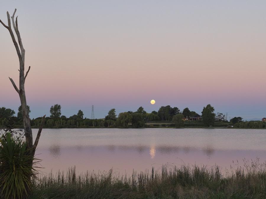 Lake Domain in Hamilton at dusk