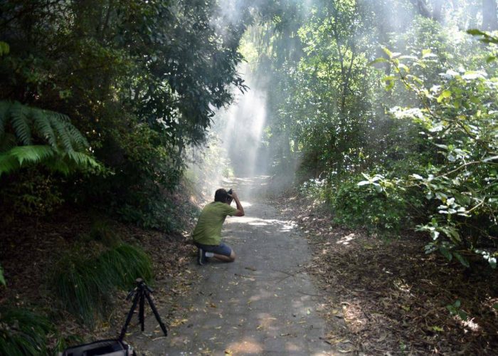 Edgecumbe Park Trail