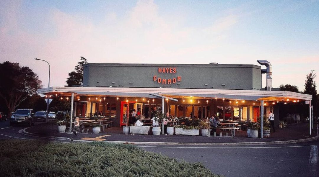 Hayes-Common-1-1024x538