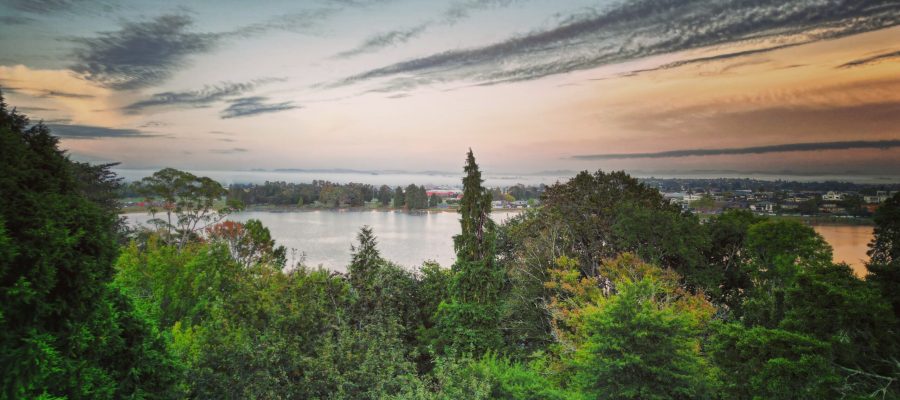 Hamilton Lake - Hamilton NZ