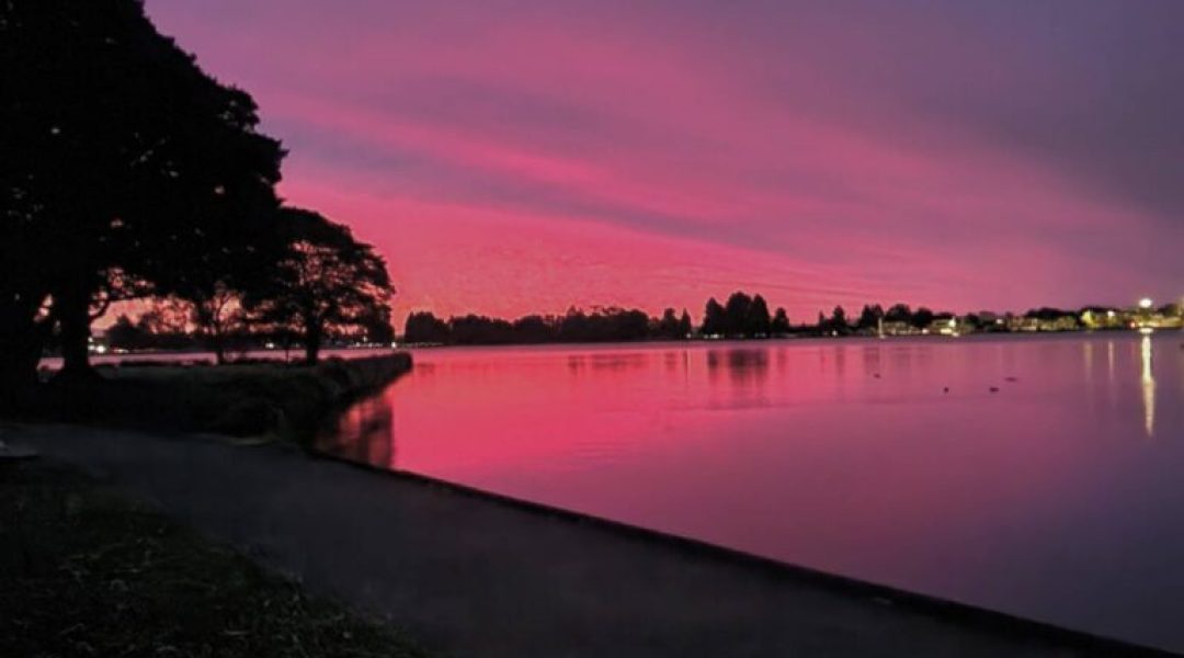 lake-rotoroa-hamilton-1-768x960